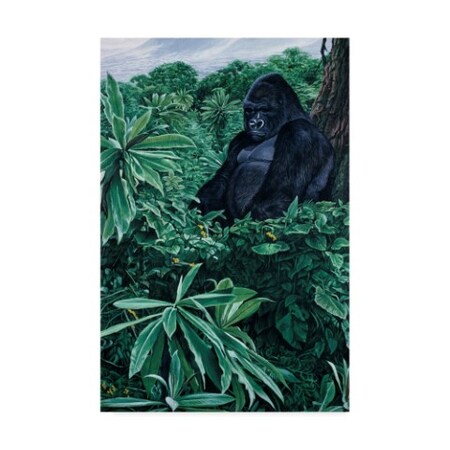 Trademark Fine Art Ron Parker 'Gorilla' Canvas Art, 30x47 ALI32406-C3047GG